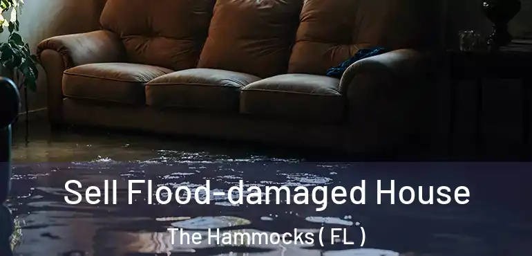  Sell Flood-damaged House The Hammocks ( FL )