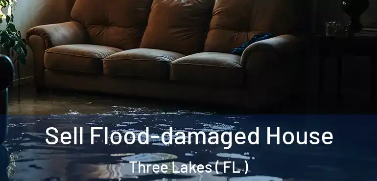 Sell Flood-damaged House Three Lakes ( FL )