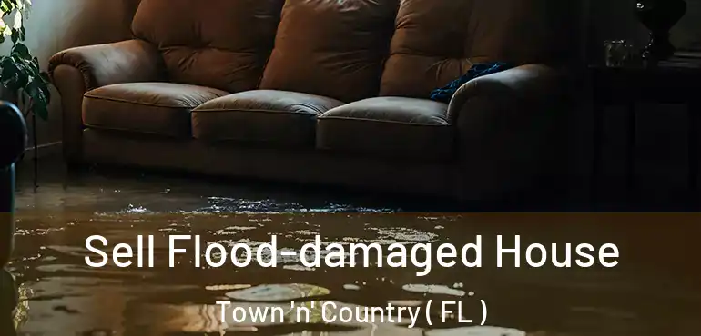  Sell Flood-damaged House Town 'n' Country ( FL )