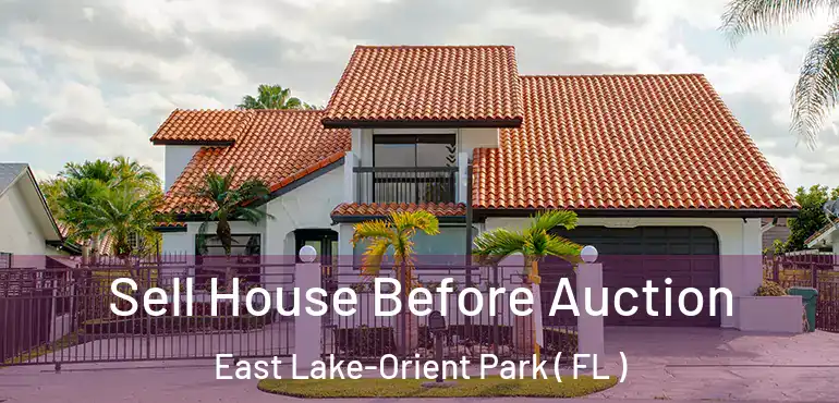 Sell House Before Auction East Lake-Orient Park ( FL )