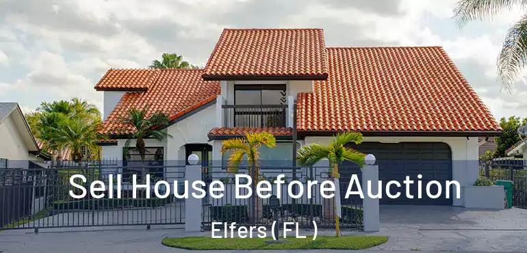  Sell House Before Auction Elfers ( FL )