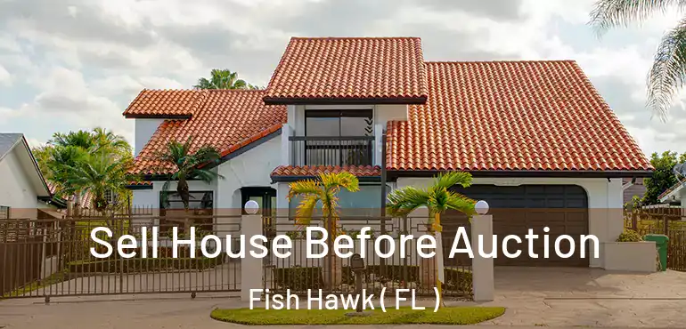  Sell House Before Auction Fish Hawk ( FL )