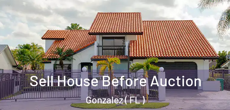  Sell House Before Auction Gonzalez ( FL )
