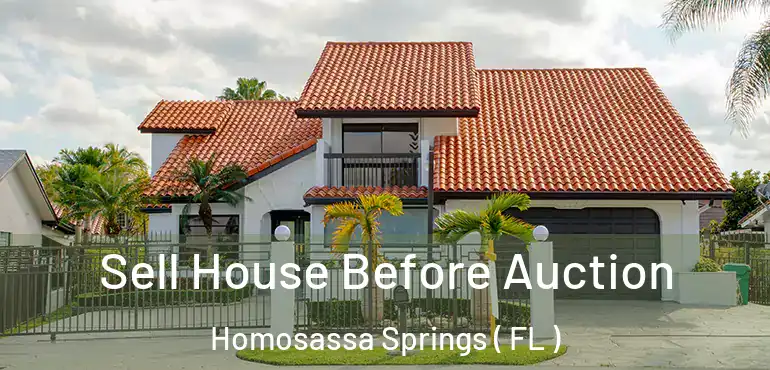  Sell House Before Auction Homosassa Springs ( FL )