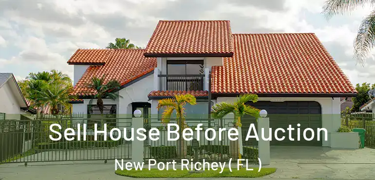  Sell House Before Auction New Port Richey ( FL )