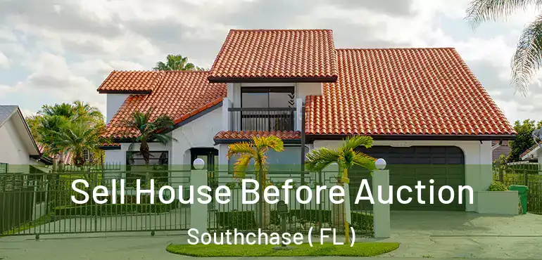  Sell House Before Auction Southchase ( FL )