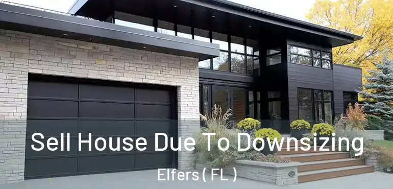  Sell House Due To Downsizing Elfers ( FL )