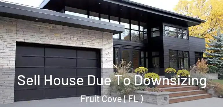  Sell House Due To Downsizing Fruit Cove ( FL )
