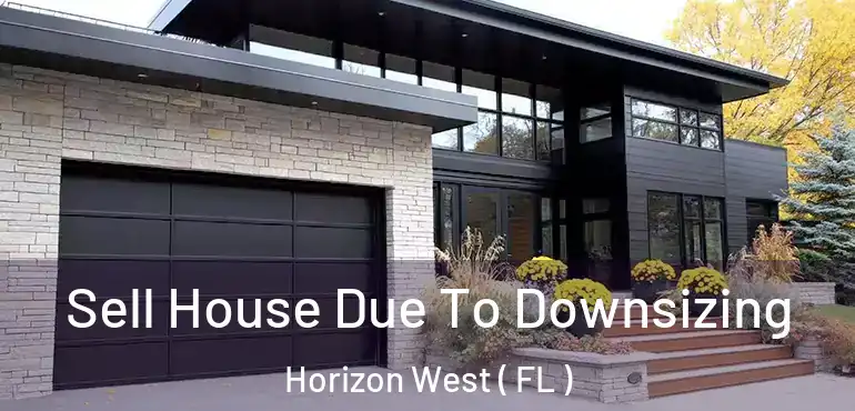  Sell House Due To Downsizing Horizon West ( FL )