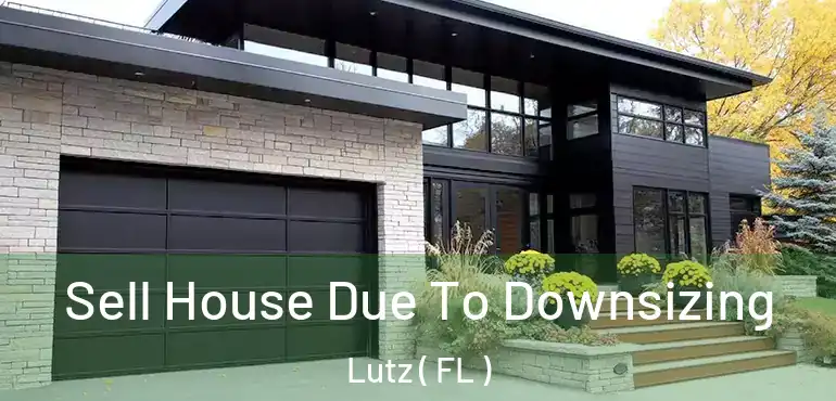  Sell House Due To Downsizing Lutz ( FL )