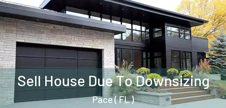  Sell House Due To Downsizing Pace ( FL )