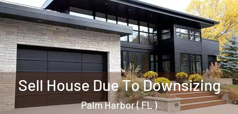  Sell House Due To Downsizing Palm Harbor ( FL )