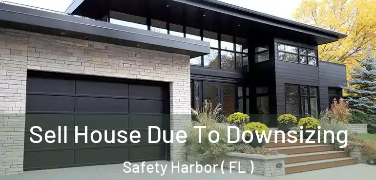  Sell House Due To Downsizing Safety Harbor ( FL )