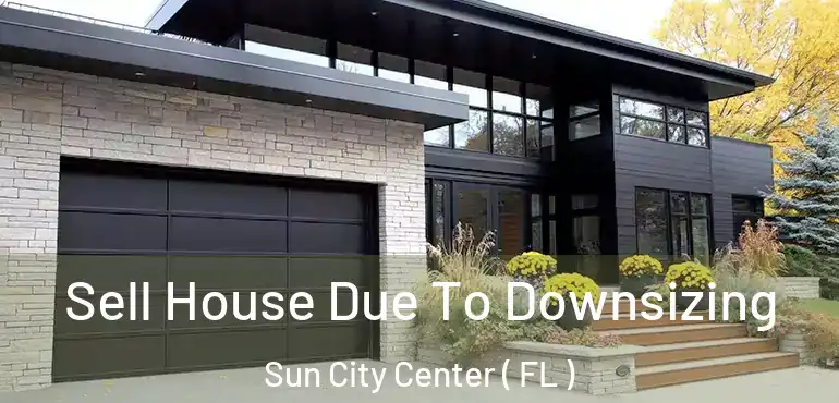  Sell House Due To Downsizing Sun City Center ( FL )