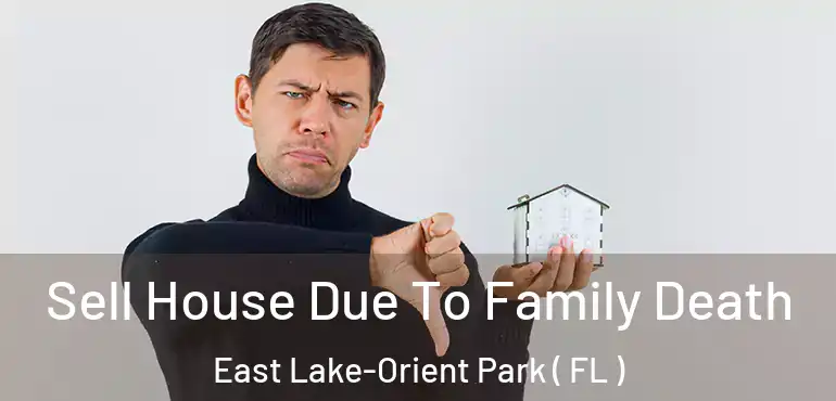  Sell House Due To Family Death East Lake-Orient Park ( FL )