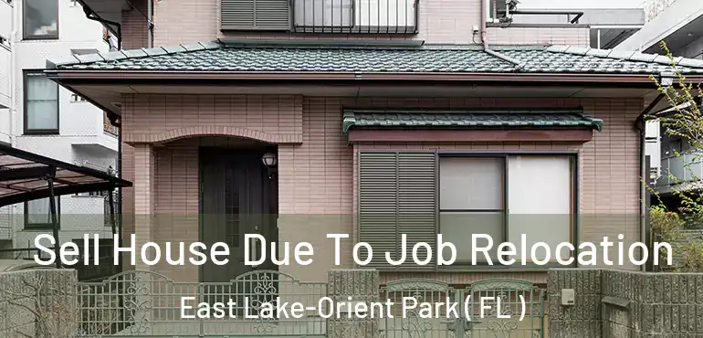  Sell House Due To Job Relocation East Lake-Orient Park ( FL )