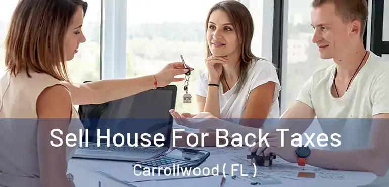  Sell House For Back Taxes Carrollwood ( FL )