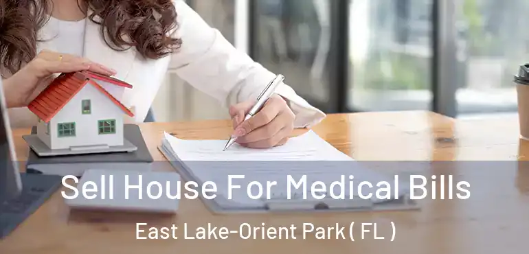  Sell House For Medical Bills East Lake-Orient Park ( FL )