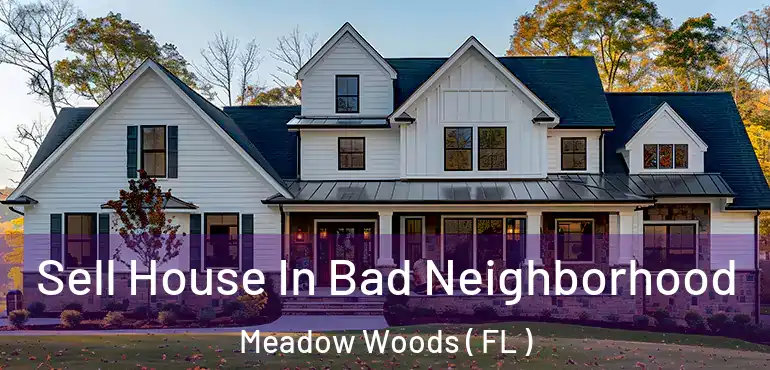  Sell House In Bad Neighborhood Meadow Woods ( FL )