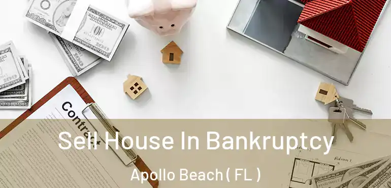  Sell House In Bankruptcy Apollo Beach ( FL )