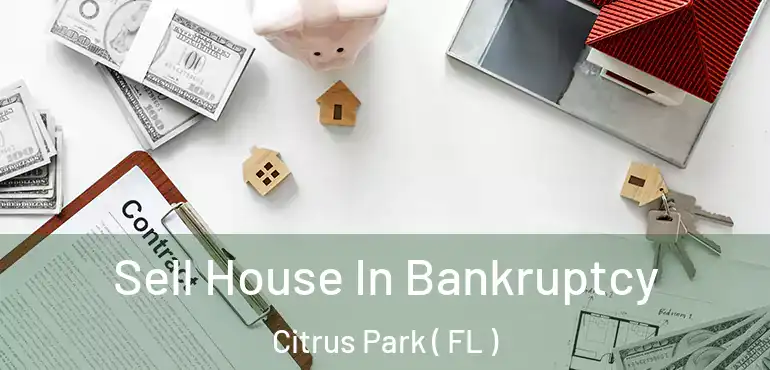  Sell House In Bankruptcy Citrus Park ( FL )