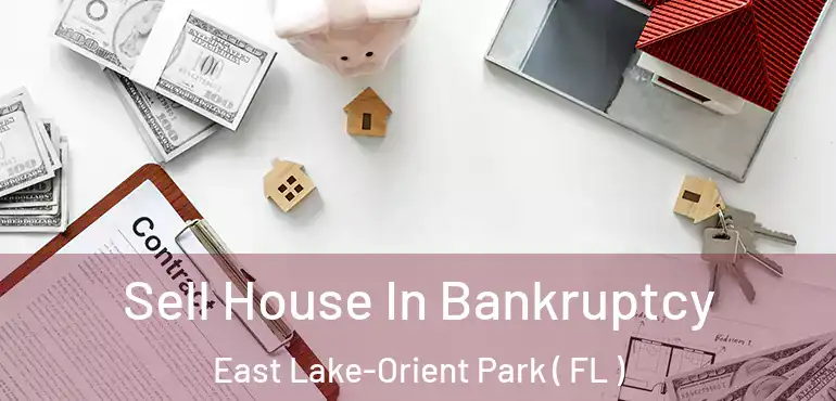  Sell House In Bankruptcy East Lake-Orient Park ( FL )