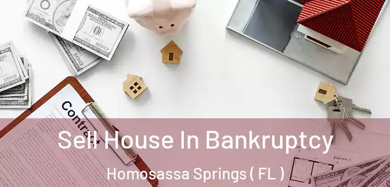  Sell House In Bankruptcy Homosassa Springs ( FL )