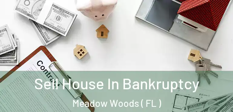  Sell House In Bankruptcy Meadow Woods ( FL )