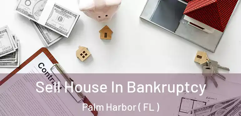  Sell House In Bankruptcy Palm Harbor ( FL )