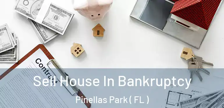  Sell House In Bankruptcy Pinellas Park ( FL )