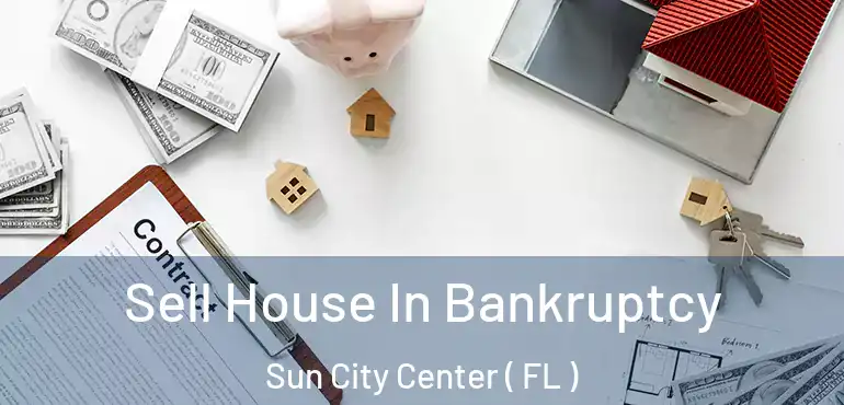  Sell House In Bankruptcy Sun City Center ( FL )