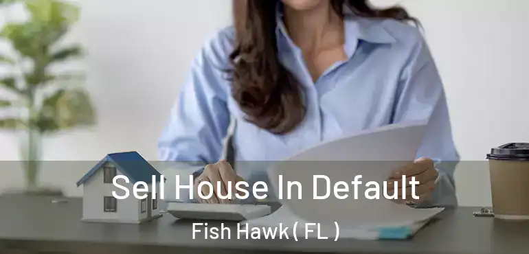  Sell House In Default Fish Hawk ( FL )