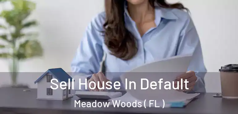 Sell House In Default Meadow Woods ( FL )