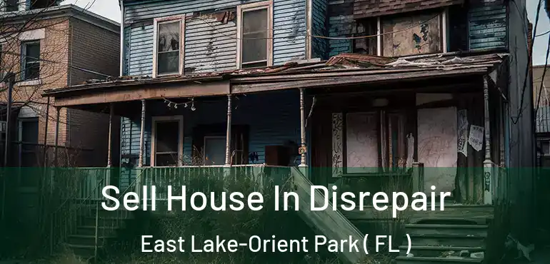  Sell House In Disrepair East Lake-Orient Park ( FL )