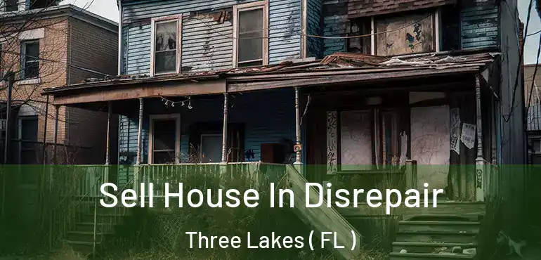  Sell House In Disrepair Three Lakes ( FL )