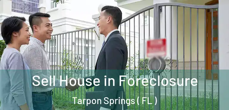  Sell House in Foreclosure Tarpon Springs ( FL )