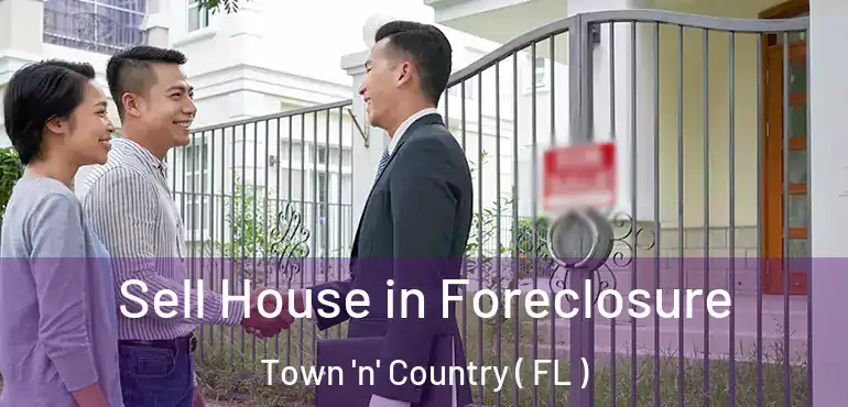 Sell House in Foreclosure Town 'n' Country ( FL )