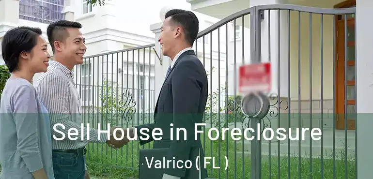  Sell House in Foreclosure Valrico ( FL )