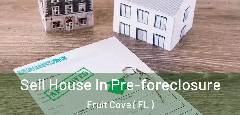  Sell House In Pre-foreclosure Fruit Cove ( FL )