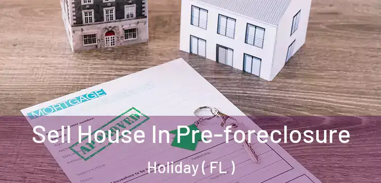  Sell House In Pre-foreclosure Holiday ( FL )