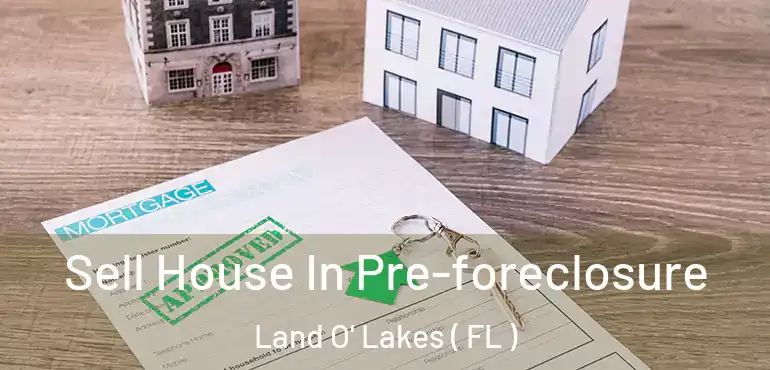 Sell House In Pre-foreclosure Land O' Lakes ( FL )