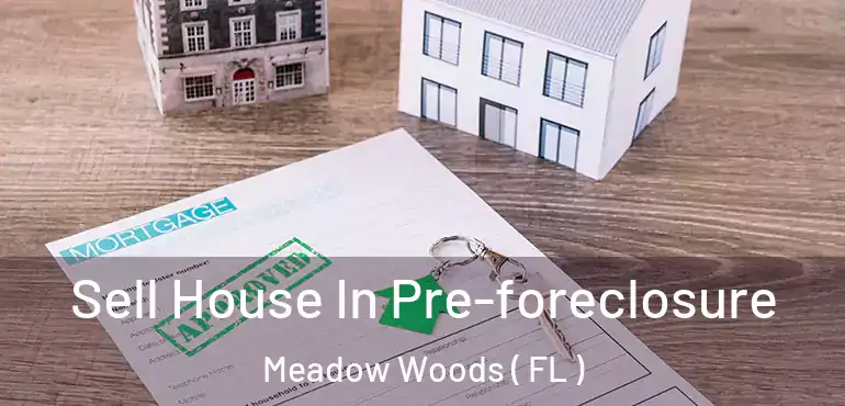  Sell House In Pre-foreclosure Meadow Woods ( FL )