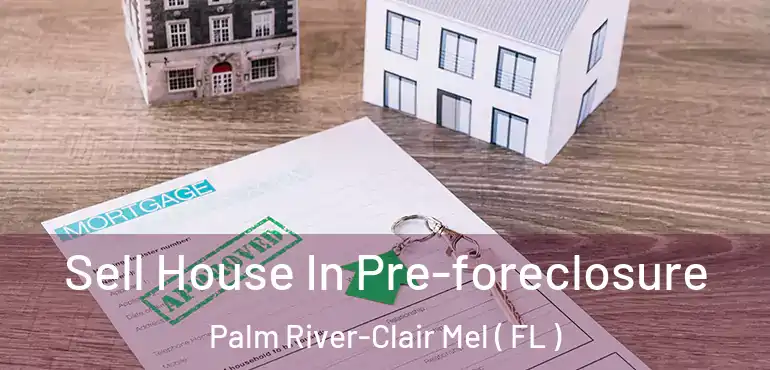  Sell House In Pre-foreclosure Palm River-Clair Mel ( FL )