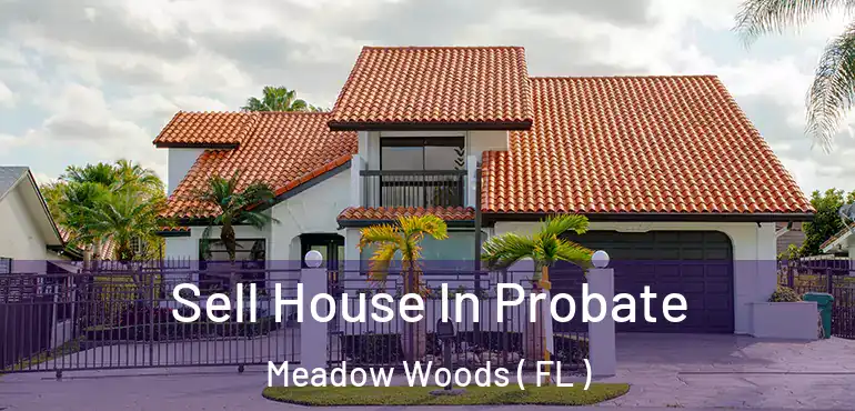  Sell House In Probate Meadow Woods ( FL )