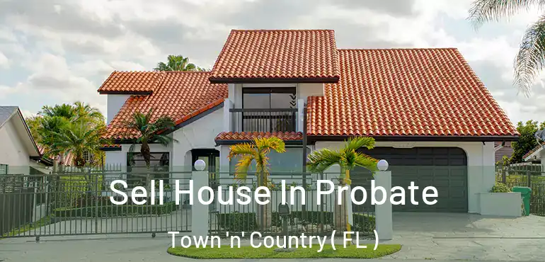  Sell House In Probate Town 'n' Country ( FL )