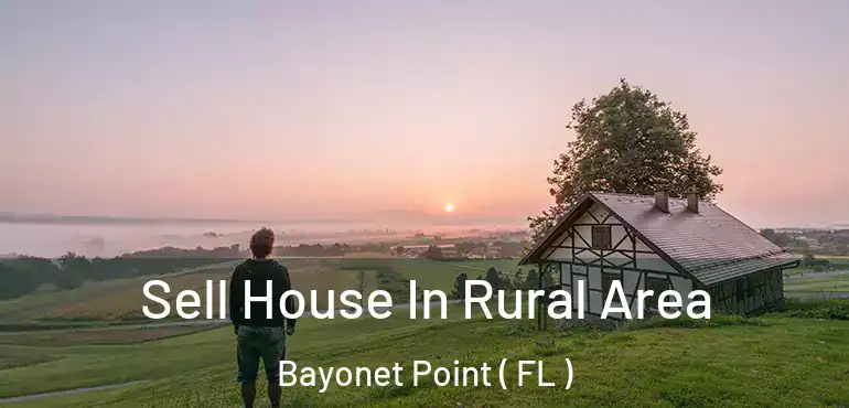  Sell House In Rural Area Bayonet Point ( FL )