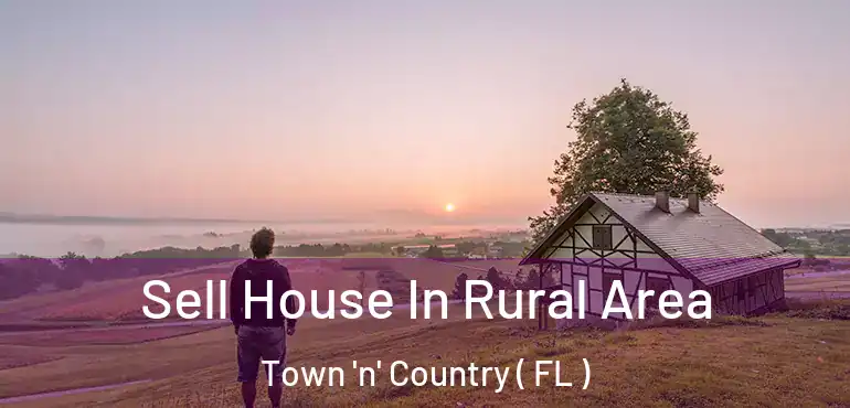  Sell House In Rural Area Town 'n' Country ( FL )
