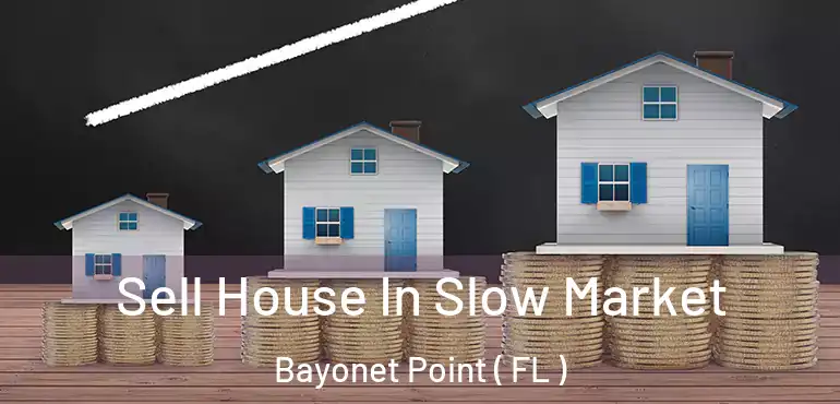  Sell House In Slow Market Bayonet Point ( FL )