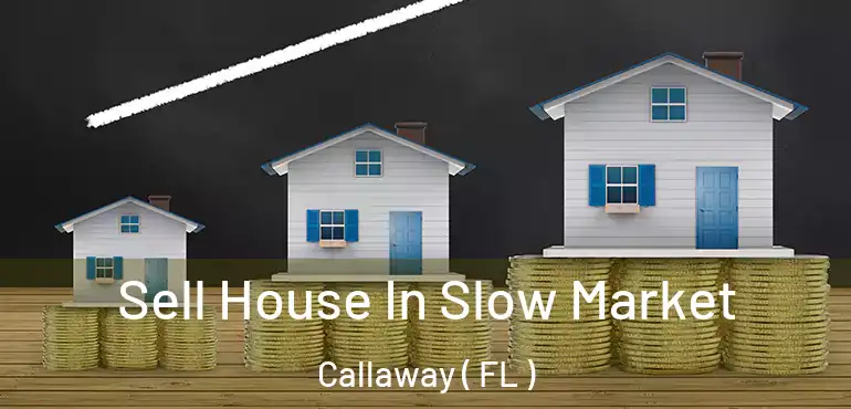  Sell House In Slow Market Callaway ( FL )