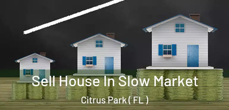  Sell House In Slow Market Citrus Park ( FL )
